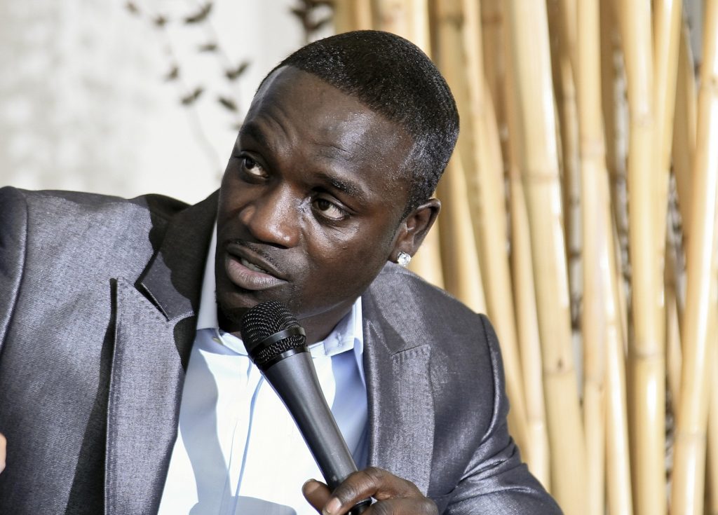 Akon’s Masterclass in Sustainable Wealth Management